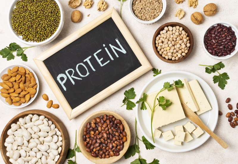 Các loại protein phổ biến thường gặp